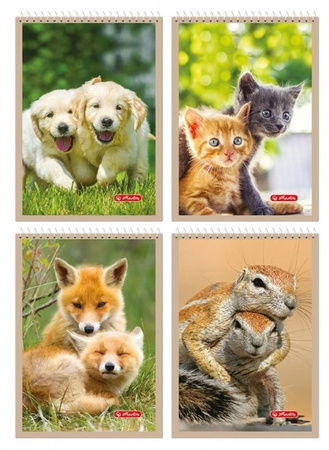Herlitz Kołonotes A6 40k krata 70g 1 spirala Animals 562354