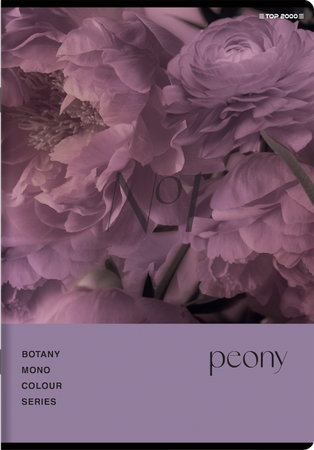 Zeszyt Top 2000 A5 60k krata 70g Botany 431121