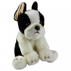 Pies Boston Terrier 30cm Smily Play 834739