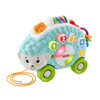 Fisher price gjb11 interaktywny jeż