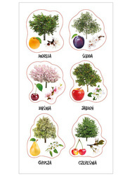 Naklejki Polski sad 153151