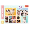 Puzzle Trefl 160 Psia przyjaźń 154122
