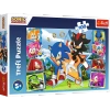 Puzzle Trefl 100 Poznaj Sonica 164657