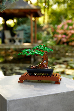 Lego 10281 drzewko bonsai