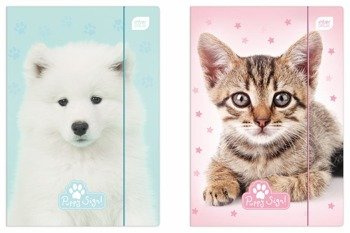 Teczka z gumką a4+ lux uv puppy sign 215406