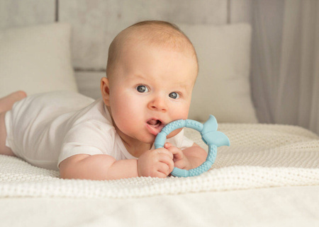 Gryzak sensoryczny kwiatek niebieski 104334