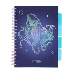 Strigo Pads głębiny ośmiornica A4 kratka granatowy 100k 80g 842130