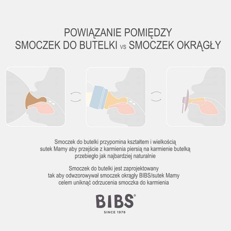 Bibs Smoczek Uspokajający Blossom S
