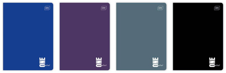 Zeszyt in 96k krata uv kol.one color 247438