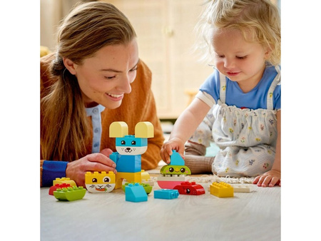 LEGO 10477 DUPLO Kreatywne zwierzaki 3w1 032039