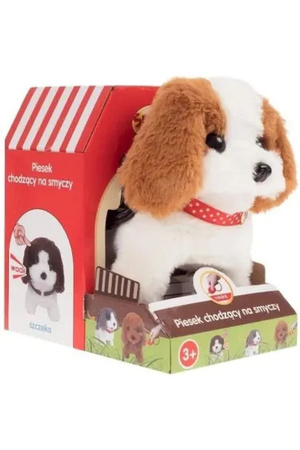 Piesek chodzący na smyczy 851859