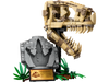 Lego 76964 Jurassic World Szkielety dinozaurów - czaszka tyranozaura