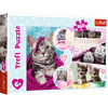 Puzzle Trefl 160 Urocze kotki 153712