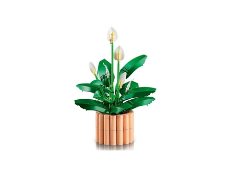 LEGO 11504 BOTANICALS Skrzydłokwiat 031858