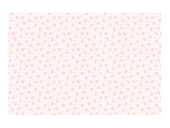Obrus papierowy Łapki 180x120cm 041875