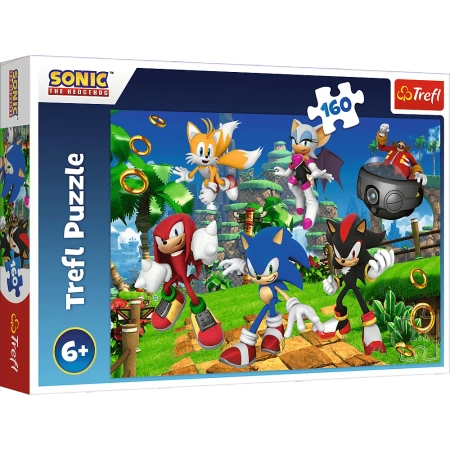Puzzle Trefl 160 Sonic i przyjaciele 154214
