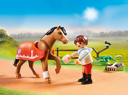Playmobil 70516 Kucyk "Connemara" do kolekcjonowania