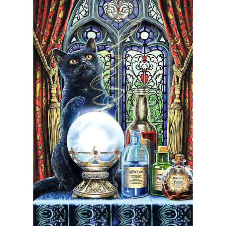 Puzzle Trefl 1000 Premium Plus Magic Collection Uczeń czarownicy 108989