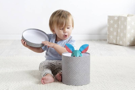 TINY LOVE Wonder Buddies Mały Odkrywca Królik Thomas - zabawka interaktywna