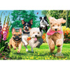 Puzzle Trefl 1000 Premium Plus Tea Time Nadchodzą klopoty 108002