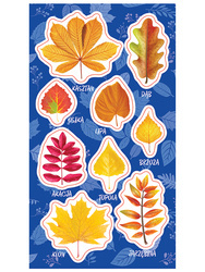 Naklejki Jesienne liście 150952