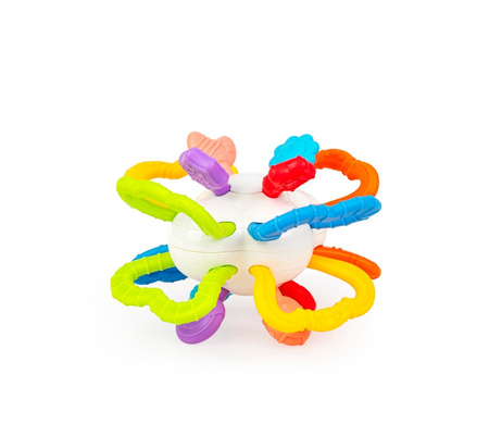 Dumel Terkotek kolorowy 301372