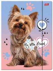 TECZKA Z GUMKĄ A4 300 g/m2 MY LITTLE FRIEND 668241