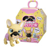 Pamper Petz Buldog francuski 094911
