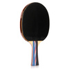 Rakietki do tenisa stołowego Meteor Mistral 3*