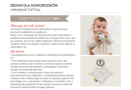 Taf Toys Zestaw dla noworodka 129150