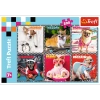 Puzzle Trefl 200 Wesołe psy 132793