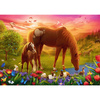 Puzzle Trefl 500 Konie na łące 374513