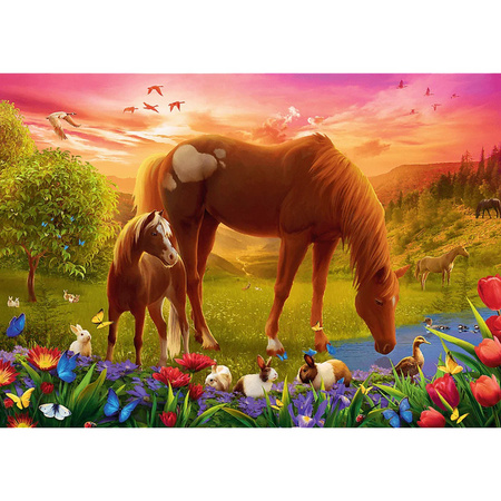 Puzzle Trefl 500 Konie na łące 374513