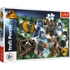 Puzzle Trefl 300 Ulubione dinozaury 230130