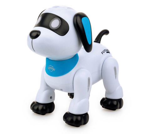 Psiak akrobata Junior RC 300108