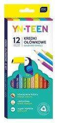 Kredki ołówkowe 12 kol trójkątne yn 259271