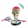 Clementoni Naukowa zabawa Zwariowana anatomia