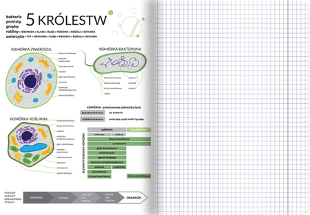 Zeszyt Top 2000 SP Biologia A5 60k krata 70g 428626