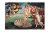 Clementoni Puzzle 2000 Museum The Birth of Venus 325726