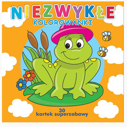 Kolorowanka Niezwykłe Kolorowanki 601623