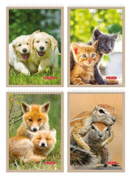 Herlitz Kołonotes A6 40k krata 70g 1 spirala Animals 562354