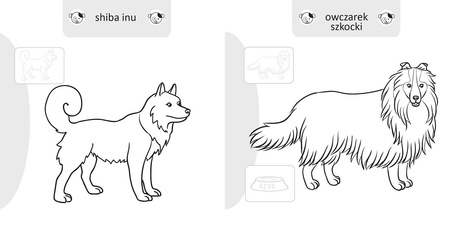 Książeczka Malowanie doklejanie Pieski 071351 