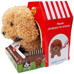 Piesek chodzący na smyczy 851866