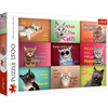 Puzzle Trefl 1500 Zabawne kocie portrety 262124