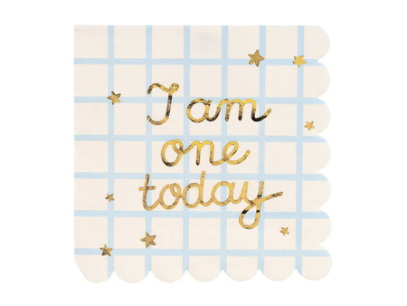 Serwetki Happy I am one today 12szt 33x33cm 059894