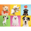 Puzzle Trefl 500 Psy 373783