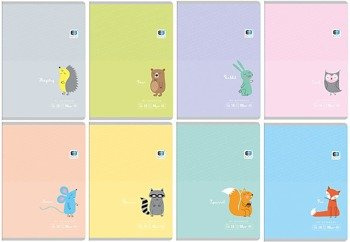 Zeszyt in 16 linia kolor  b&b kids pastel 255556