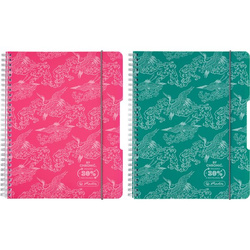 Herlitz Kołozeszyt B5 80k krata 70g 2 spirale Eco PP Colors 501445