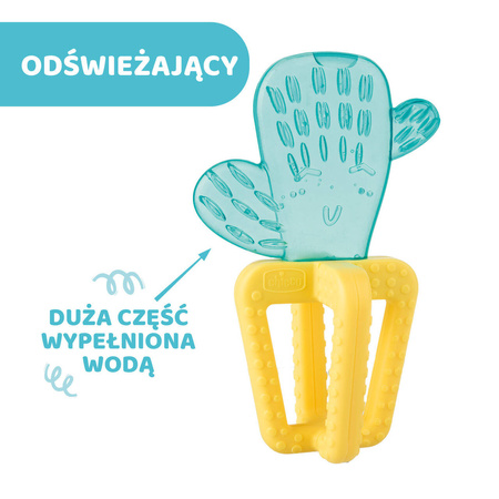 Chicco Gryzak wodny kaktus 4M+ 143450