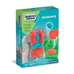 Clementoni Naukowa zabawa Anatomia 502523